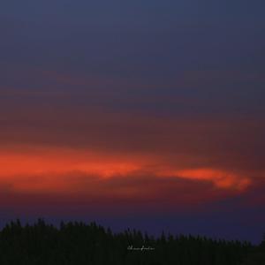 不二子赤身跳钢管舞免费观看
