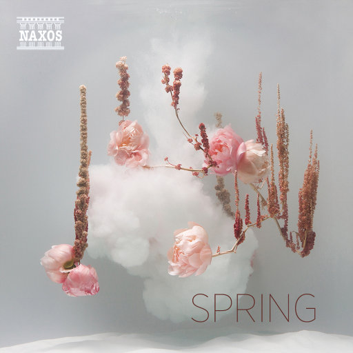 不二子赤身跳钢管舞免费观看
